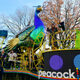 Image for article titled Whoops, Peacock added no new paid subscribers over the last quarter